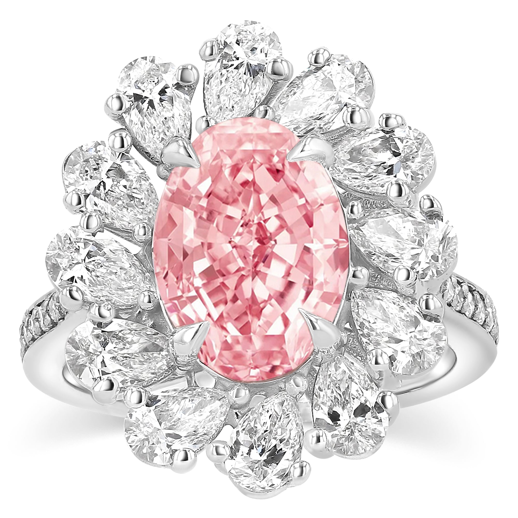 Pink Oval Pear Flower