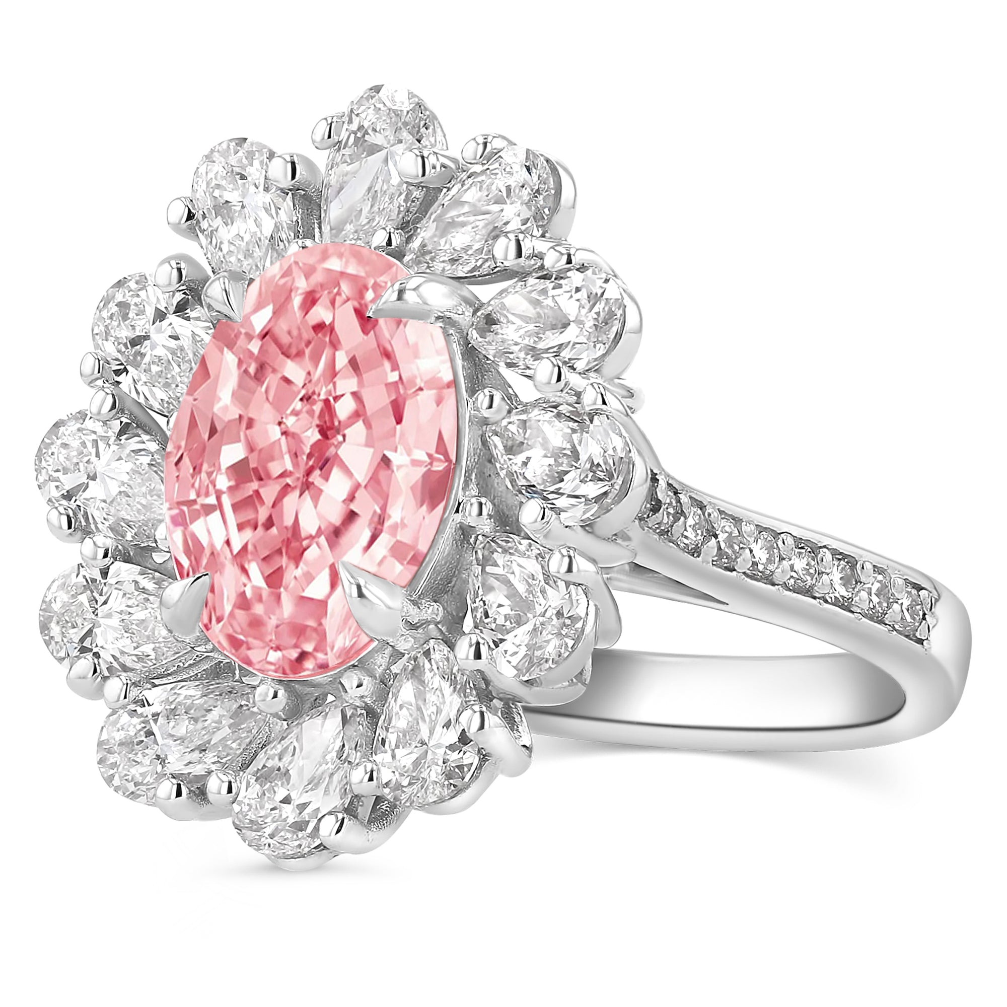 Pink Oval Pear Flower