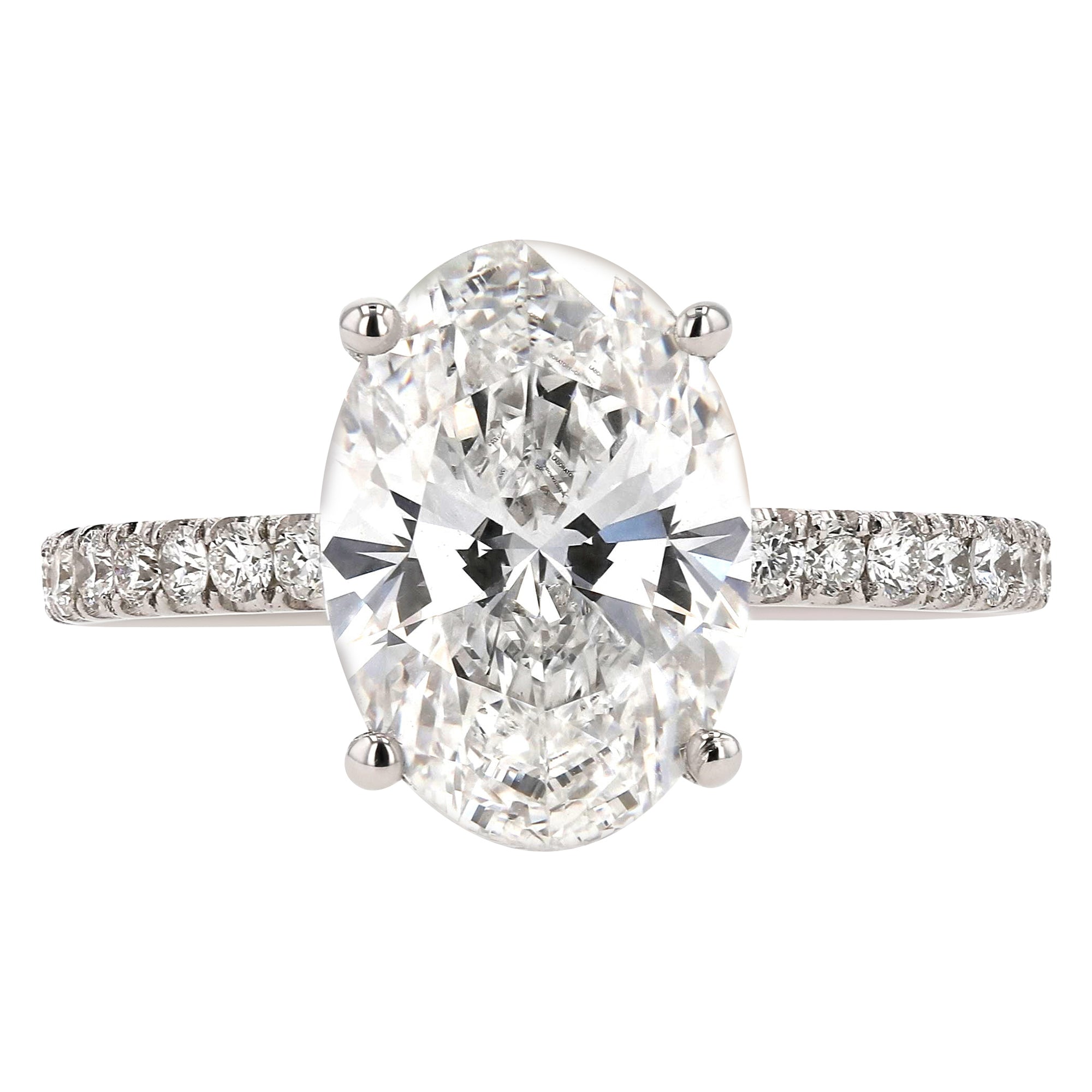 Oval Solitare Hidden Halo Prong Set Ring 3.17Ct